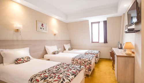 Economy Triple Room