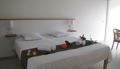 Superior Studio Suite, 1 King Bed, Terrace, Garden View