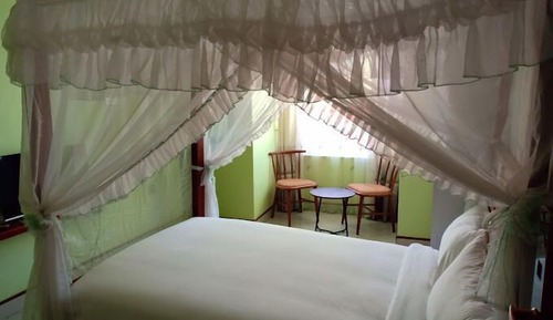 Deluxe Single Room, Garden View