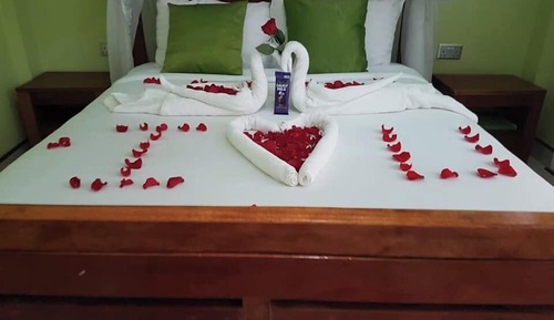Executive Single Room, Garden View