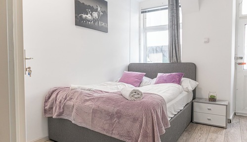Basic Room