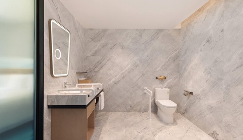 Room, 1 King Bed, Mobility Accessible, Non Smoking (Hearing, Roll-in Shower, City View)