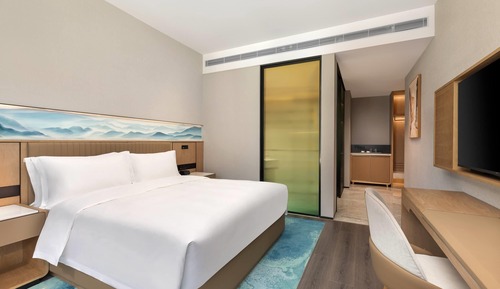 Standard Room, 1 King Bed, Non Smoking, City View
