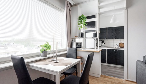 Apartment, Pets Allowed, City View