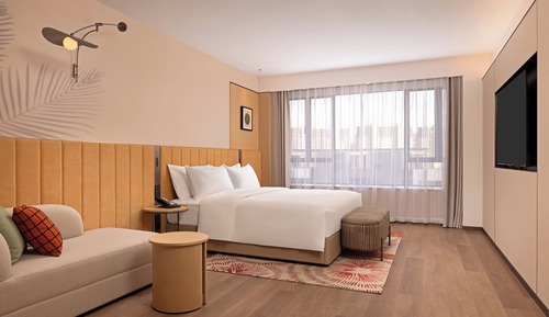 Room, 1 King Bed