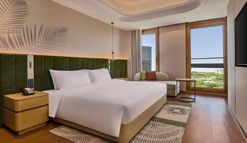 Basic Room, 1 King Bed