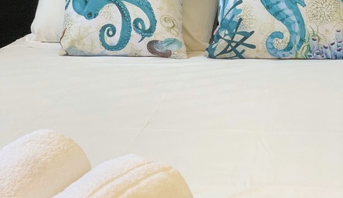 Basic Double Room