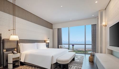 Suite, 1 Bedroom, Mountain View