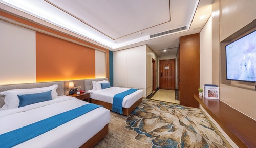 Basic Twin Room