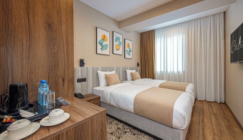 Standard Twin Room