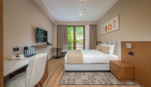 Standard Double Room