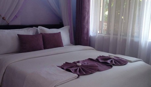 Executive Single Room, Garden View