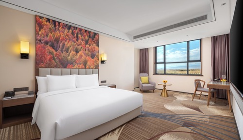 Deluxe Suite