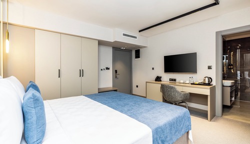 Standard Double or Twin Room, Mountain View