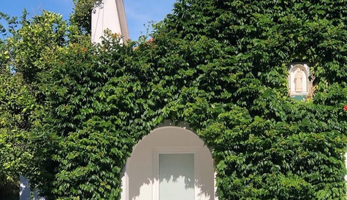 Classic Cottage, Garden View