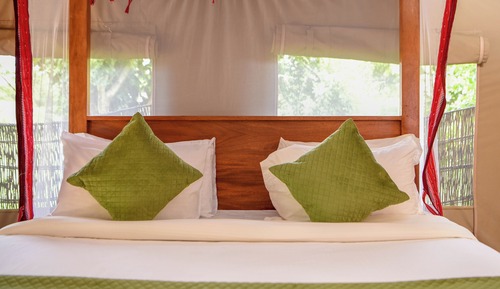 Single Room, Patio