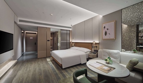 Basic Room, 1 King Bed