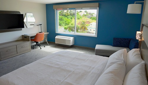 Standard Room, 1 King Bed, Accessible (Communications)