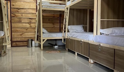 Superior Shared Dormitory, Mixed Dorm, City View