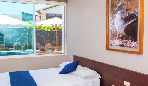 Standard Double Room, 2 Double Beds