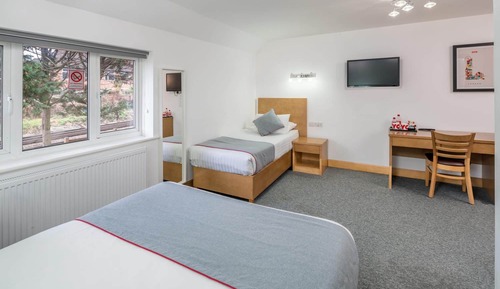 Standard Triple Room