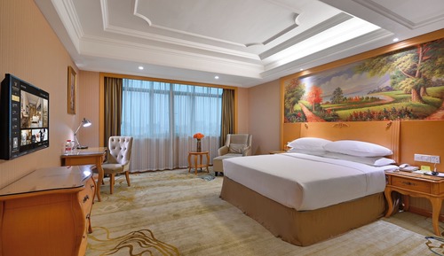 Superior Single Room, 1 Queen Bed
