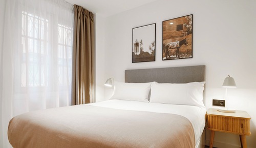 One-Bedroom Apartment with sofa bed