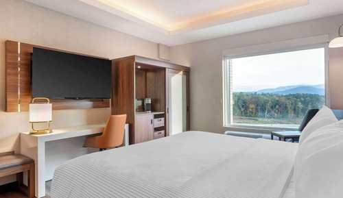 Room, 1 King Bed, Mountain View