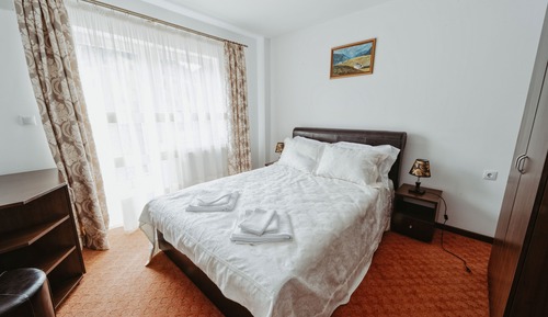 Business Double Room, Mountain View