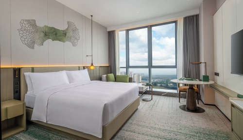 Room, 1 King Bed