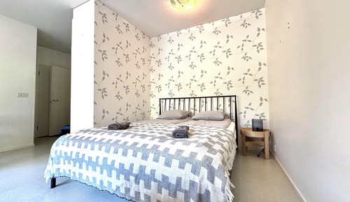 Basic Room
