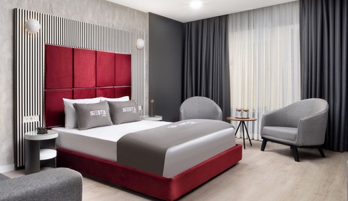 Deluxe Studio, 1 Queen Bed with Sofa bed
