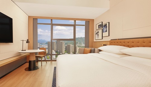 Room, 1 King Bed, City View