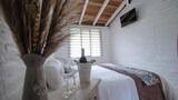 Comfort Suite, Mountain View