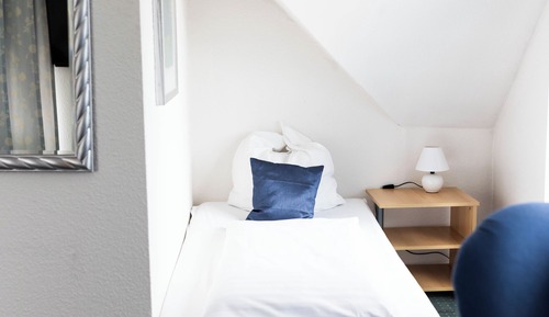 Basic Triple Room