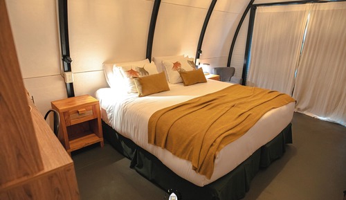Premium Single Room