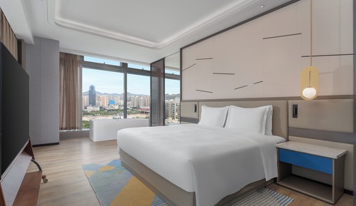 1 Bedroom Suite