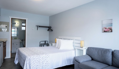 Basic Studio, 1 Queen Bed