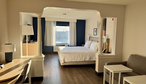 Room, 1 King Bed with Sofa bed