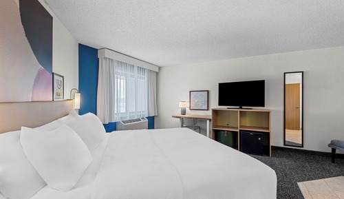 Room, 1 King Bed