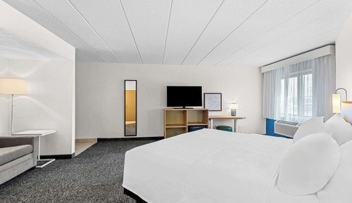 Room, 1 King Bed with Sofa bed