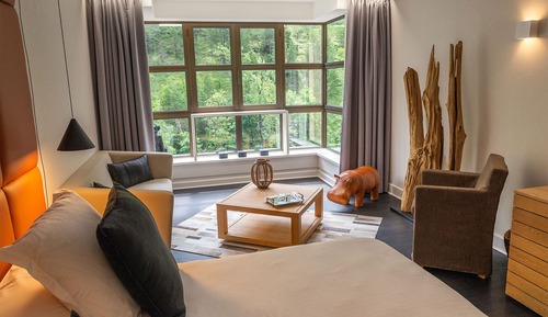 Executive Room, River View