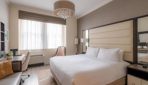 Room, 1 King Bed, City View