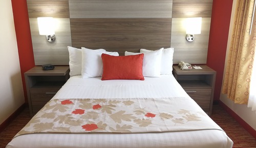 1 Queen 1 Sofa Beds Suite