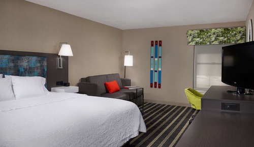 Room, 1 King Bed