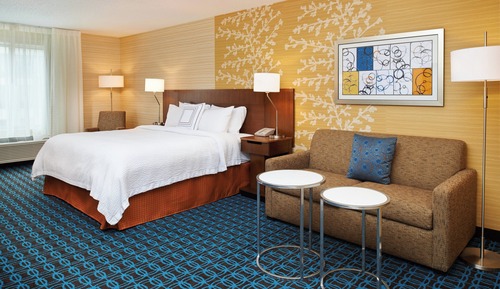 Room, 1 King Bed with Sofa bed