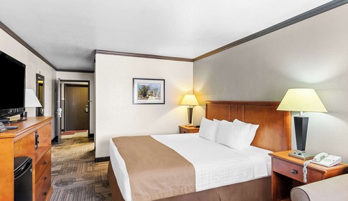 Standard Room, 1 King Bed, Accessible, Non Smoking (Walk-in Shower)