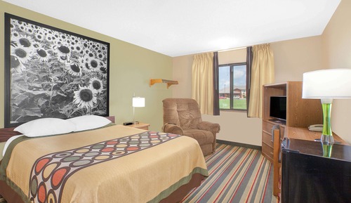 Room, 1 King Bed