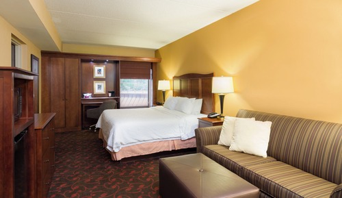 Standard Studio Suite, 1 Queen Bed with Sofa bed