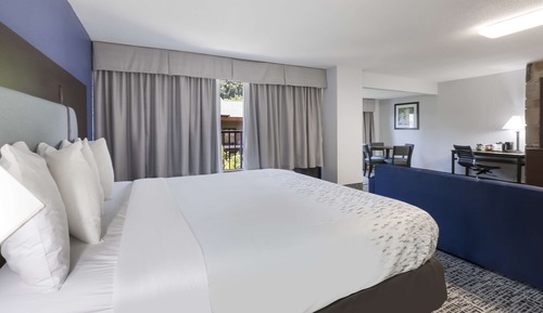 Suite, 1 King Bed, Balcony, River View (with Sofabed)